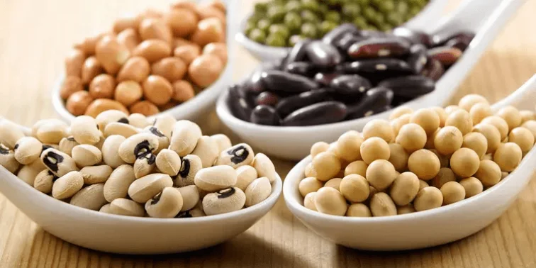 ۵ روش برای افزودن حبوبات به رژیم روزانه بدون تغییر زیاد در طعم