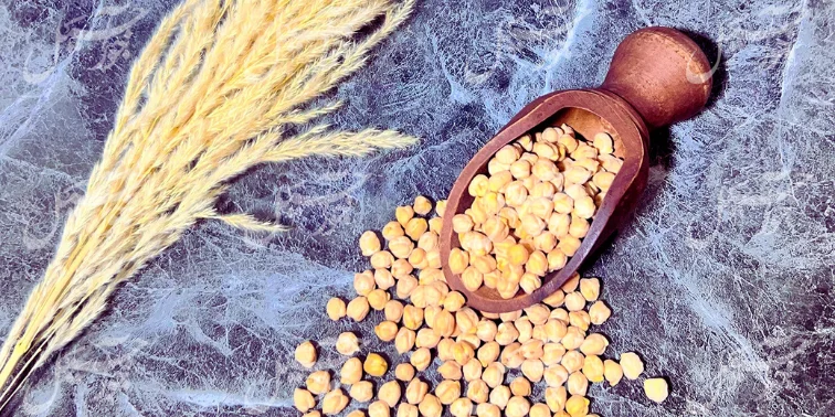 نخود؛ دانه‌ای کوچک اما فوق‌العاده مغذی، انتخابی سالم از جوراجیل