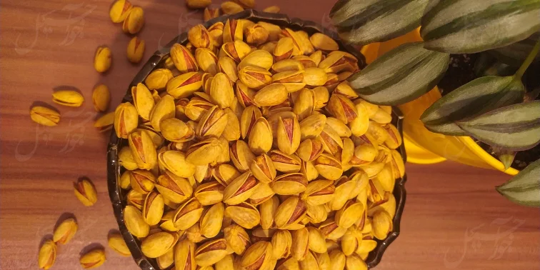 پسته اکبری؛ پادشاه طلایی مغزها با طعم بی‌نظیر، انتخاب ممتاز از جوراجیل